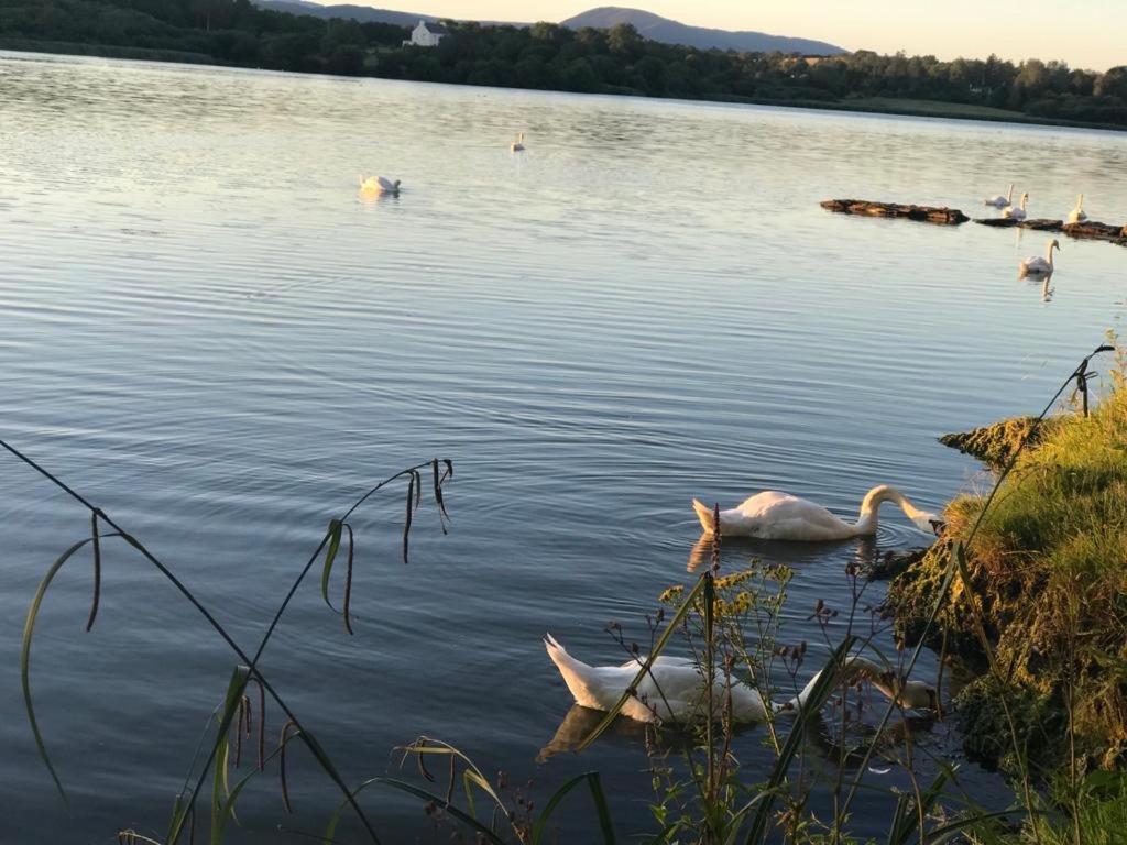 Lakeside Lookout Bantry Cork Zewnętrze zdjęcie